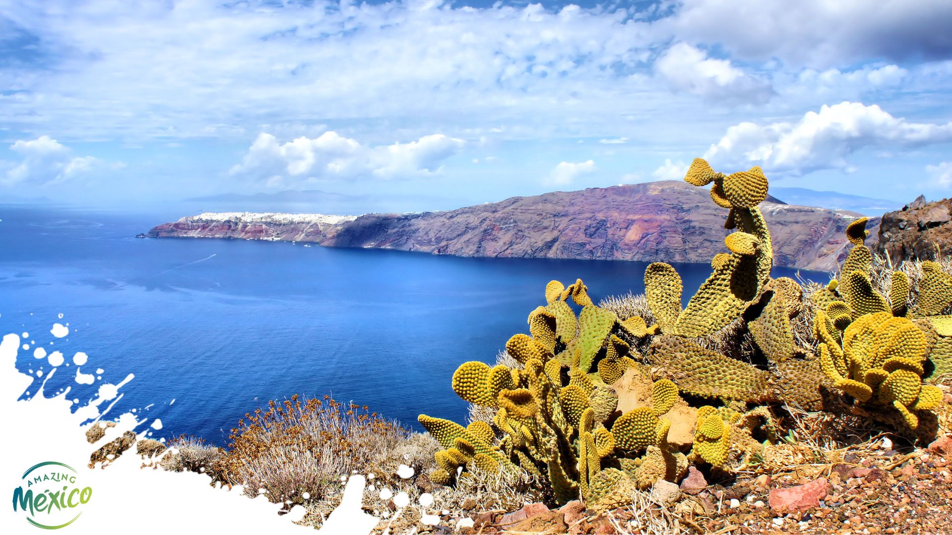 Explore the Wild Side of Los Cabos: Desert Adventures Await