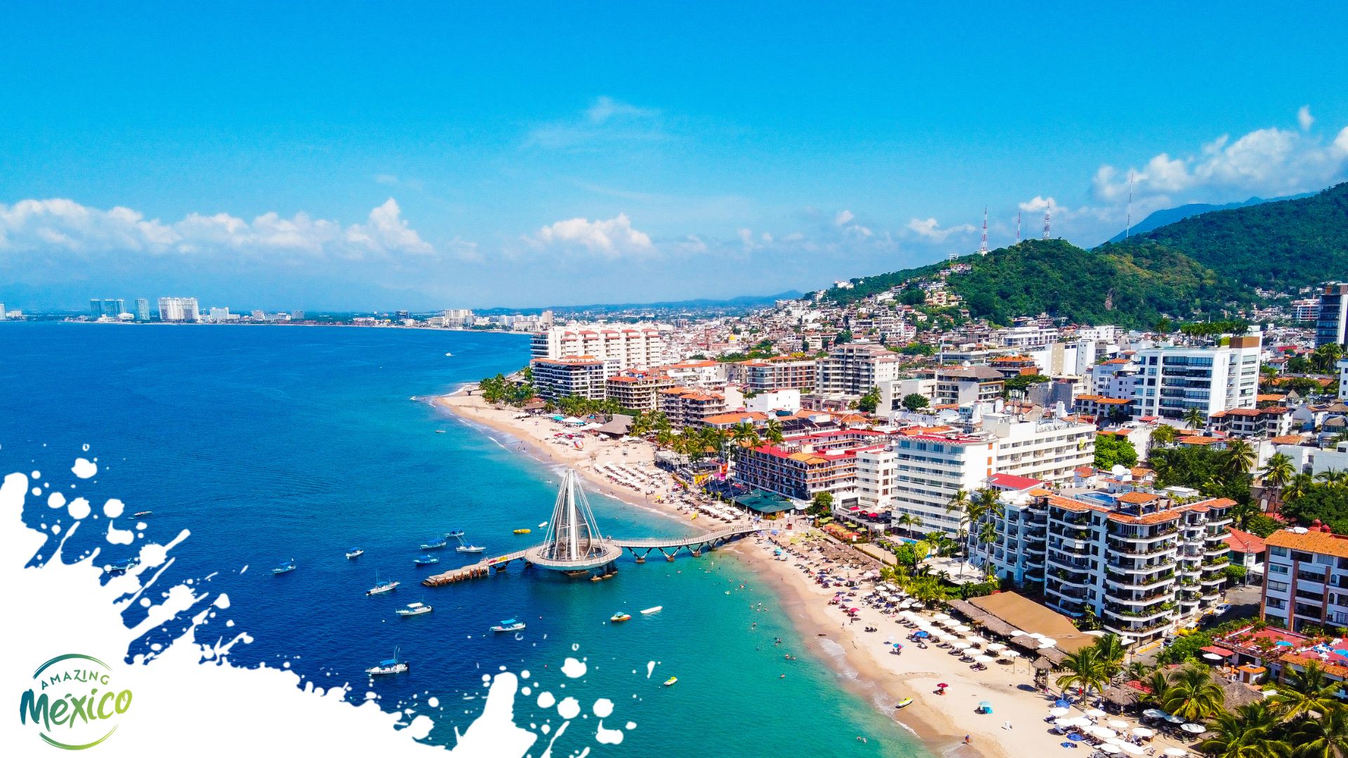 Discover the Wild Side of Puerto Vallarta