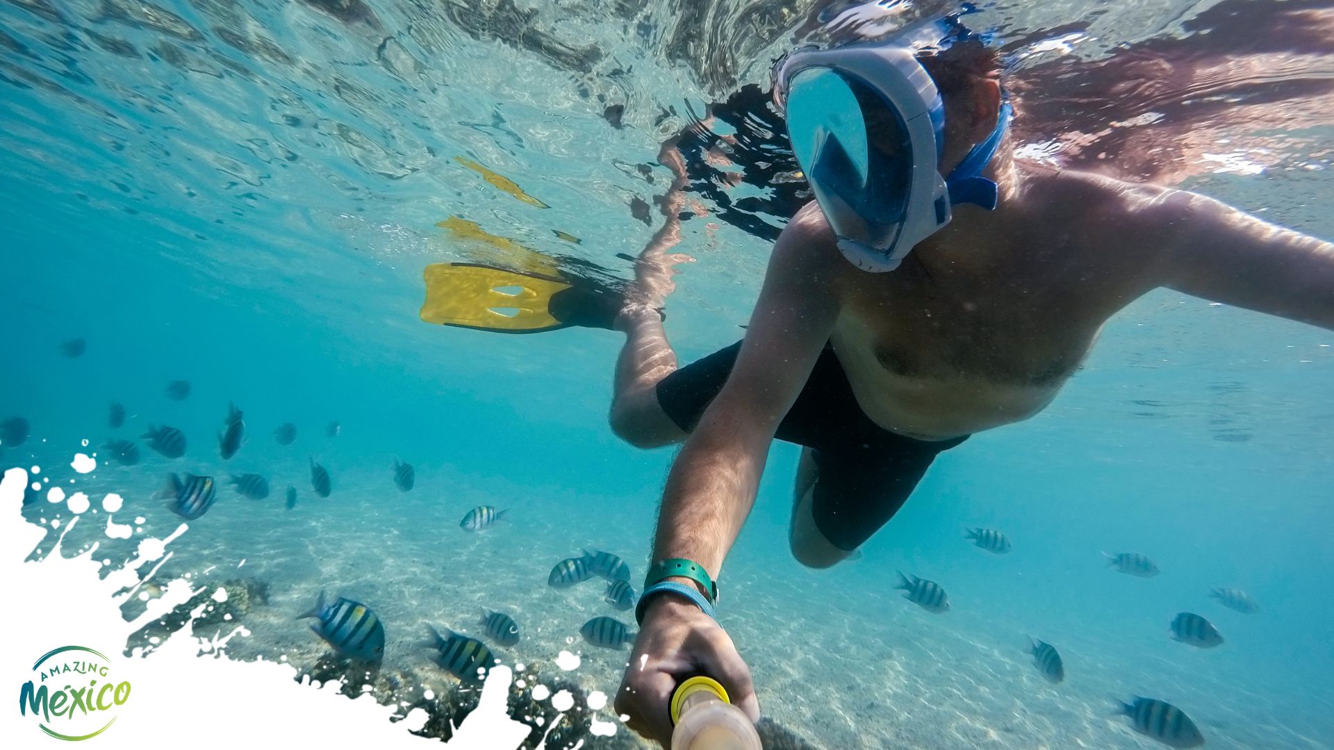 Discover the Best Snorkeling Spots in Riviera Maya, Mexico